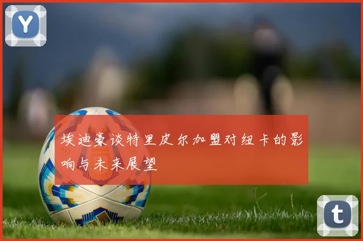 埃迪豪谈特里皮尔加盟对纽卡的影响与未来展望
