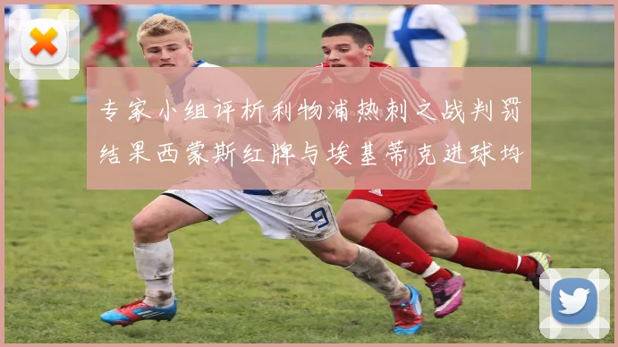 专家小组评析利物浦热刺之战判罚结果西蒙斯红牌与埃基蒂克进球均属合理