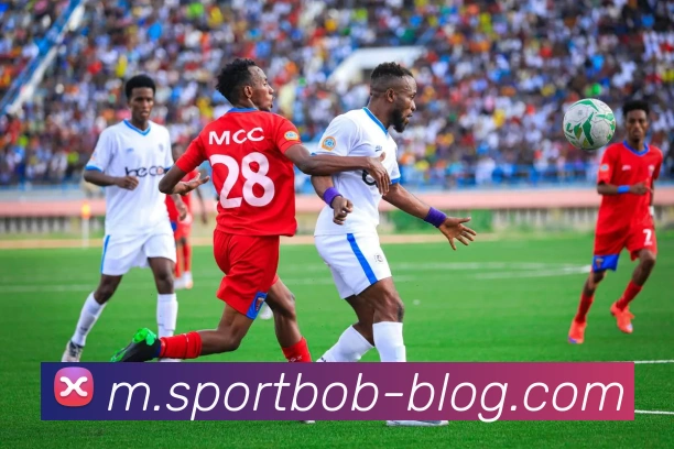 BOB体育平台生态图