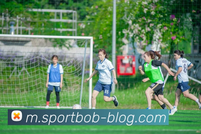 BOB体育APP 封面图